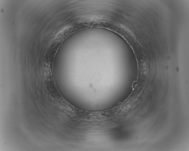 X0000071960918200607071449