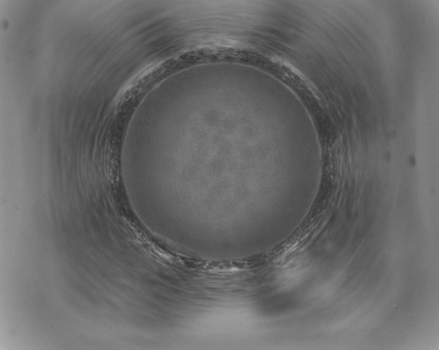 X0000071960919200607071449