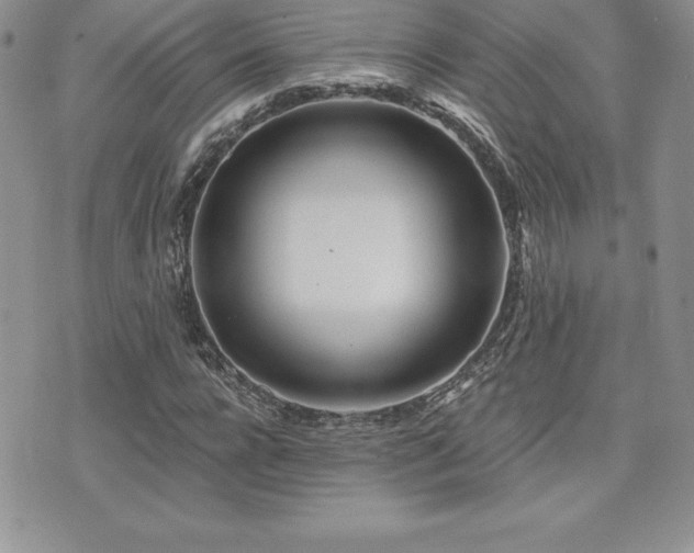 X0000071960920200607071449