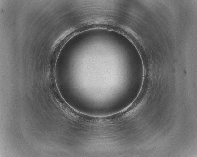 X0000071960922200607071449