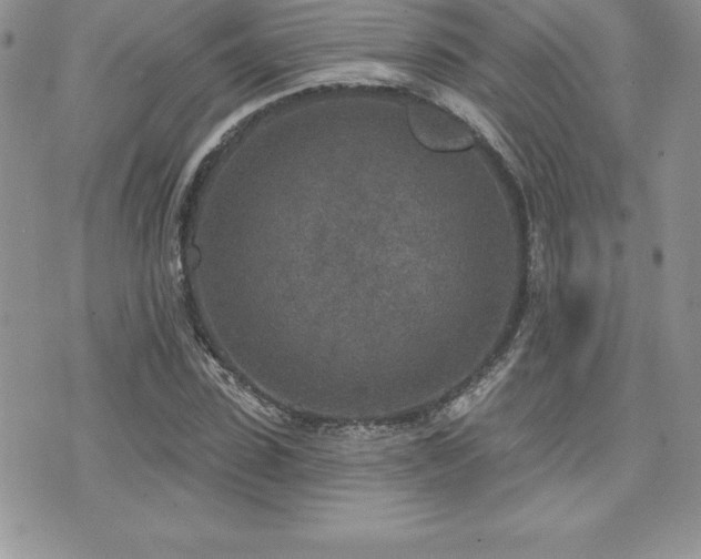 X0000071960923200607071449