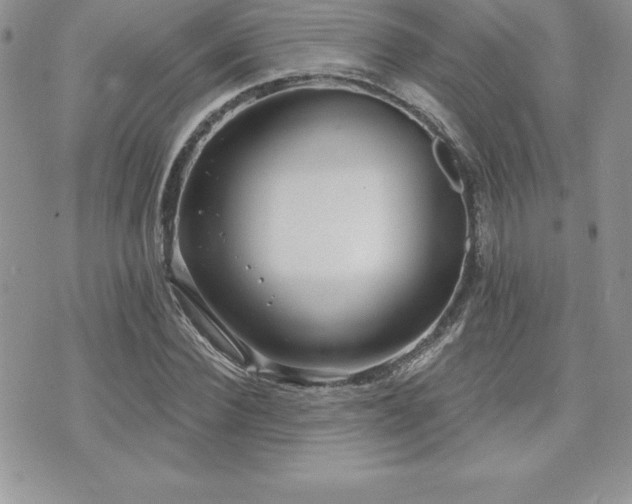 X0000071960924200607071449