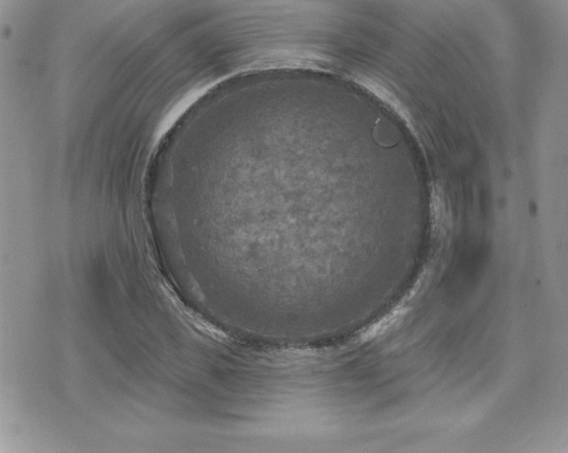 X0000071960925200607071449