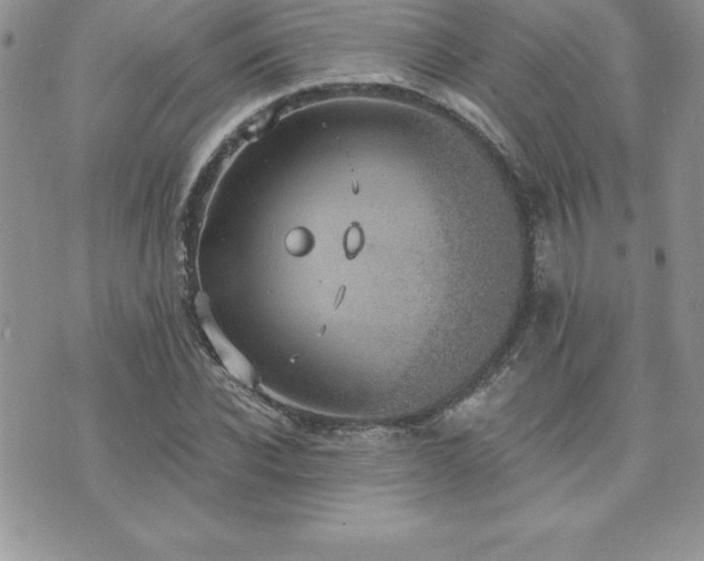 X0000071960926200607071449