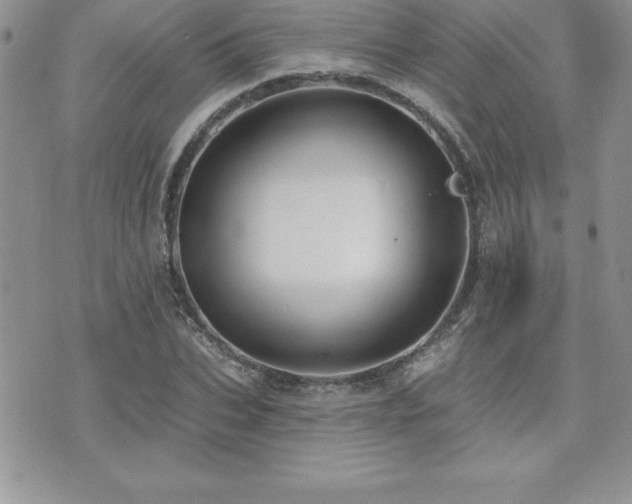 X0000071960927200607071449