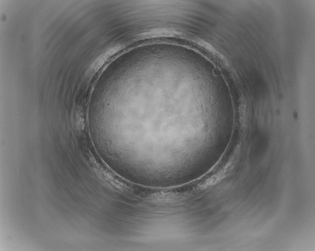 X0000071960929200607071449