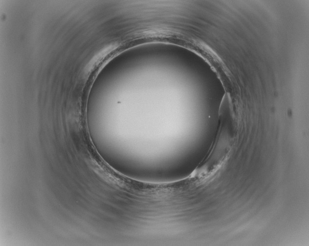 X0000071960930200607071449