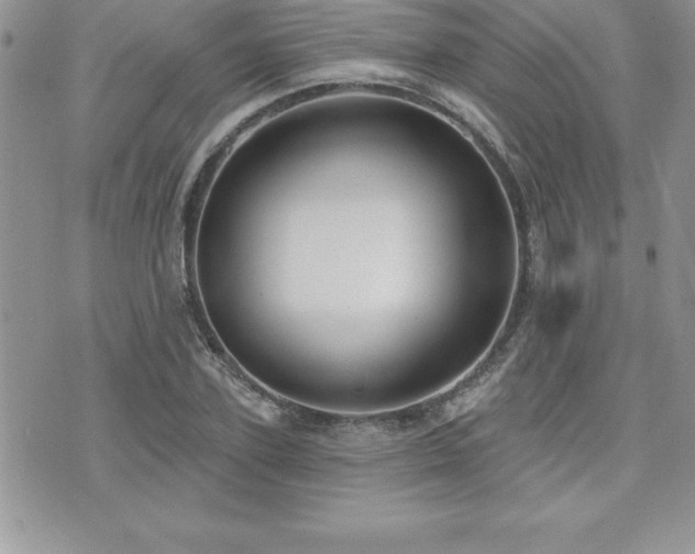 X0000071960931200607071449