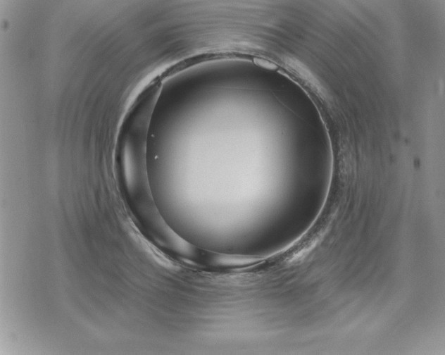 X0000071960932200607071449