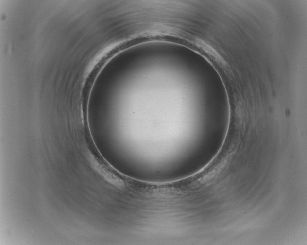 X0000071960934200607071449