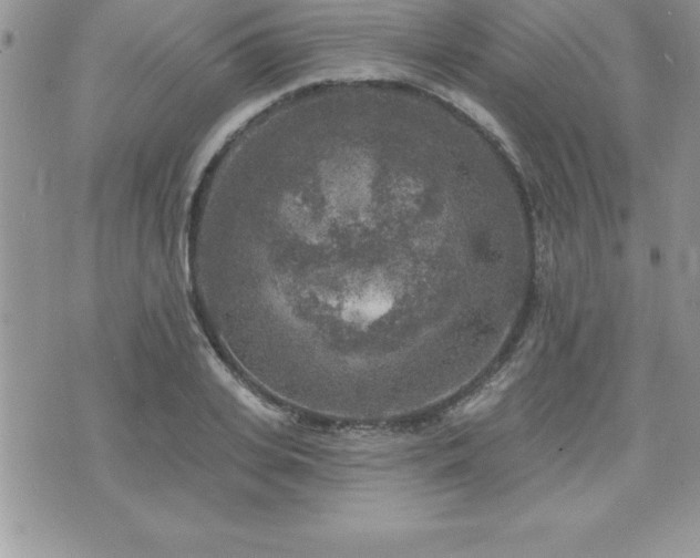 X0000071960935200607071449