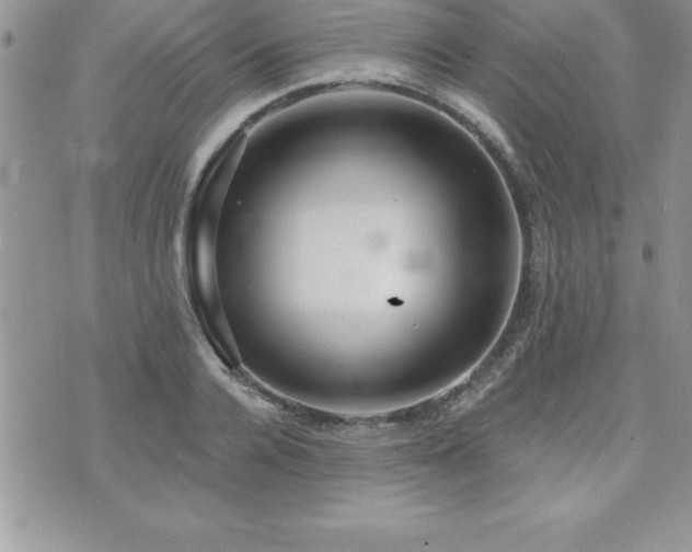 X0000071960936200607071449