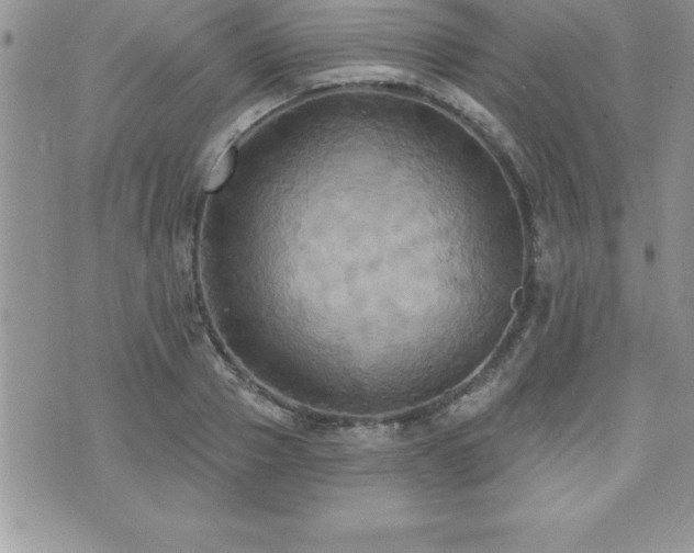 X0000071960937200607071449