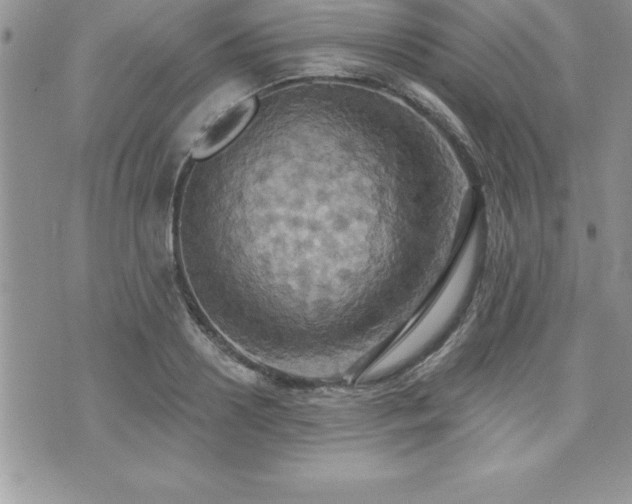 X0000071960938200607071449