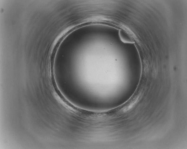 X0000071960939200607071449