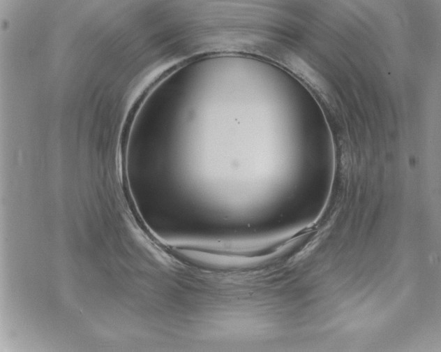 X0000071960940200607071449