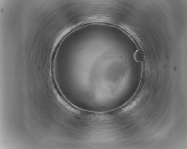 X0000071960941200607071449