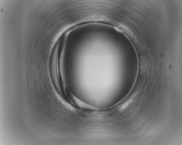 X0000071960942200607071449