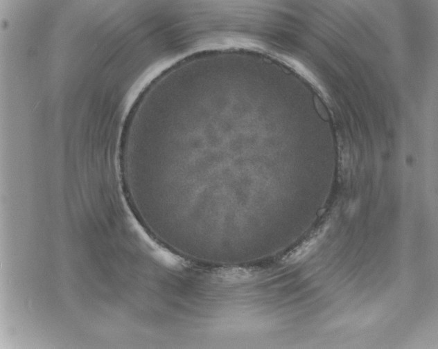 X0000071960943200607071449