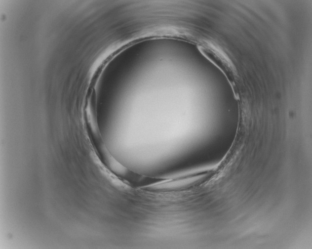 X0000071960944200607071449