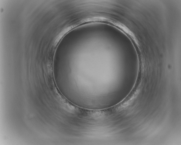 X0000071960945200607071449