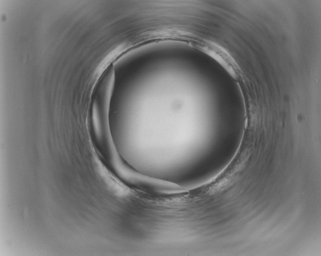 X0000071960946200607071449