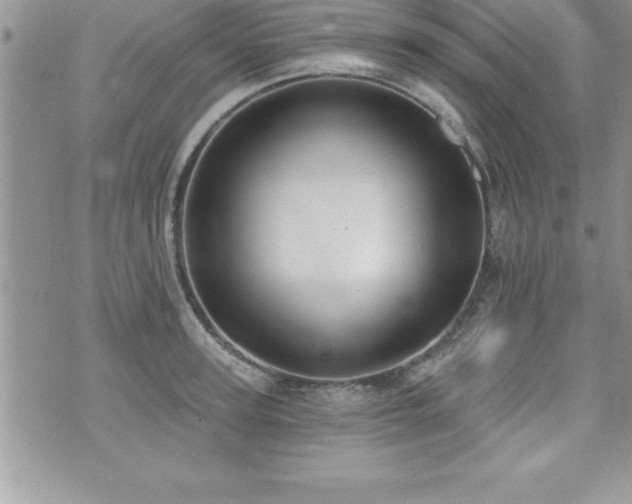 X0000071960947200607071449