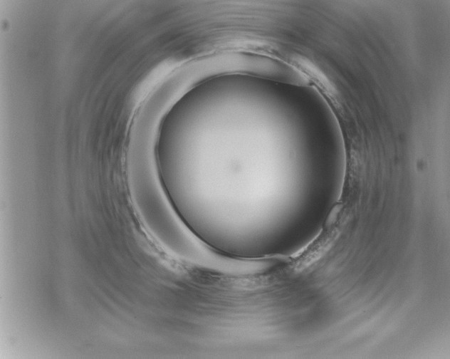 X0000071960948200607071449