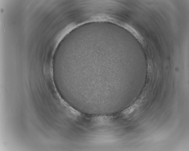 X0000071960950200607071449