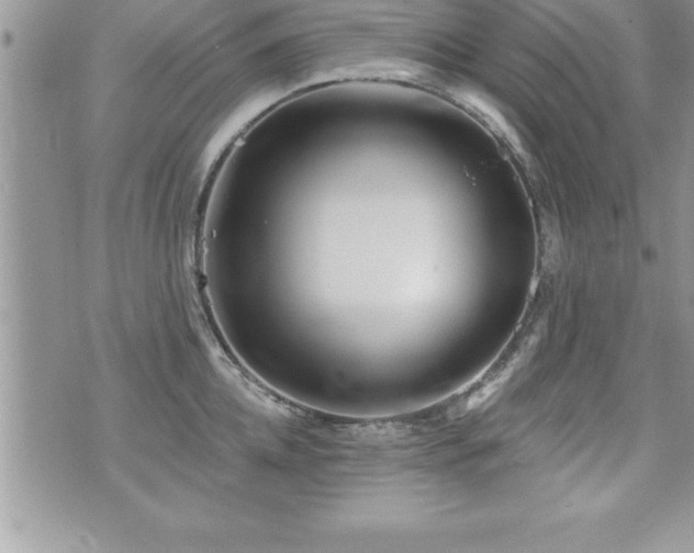 X0000071960952200607071449