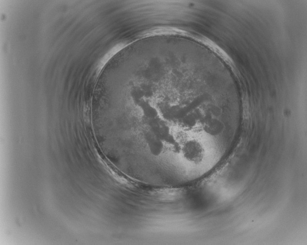 X0000071960953200607071449