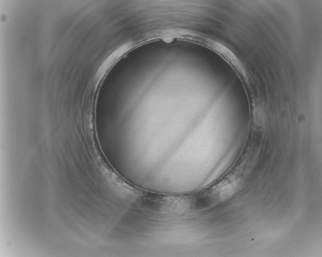 X0000071960954200607071449