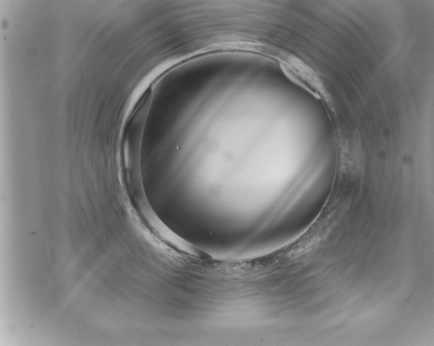 X0000071960955200607071449