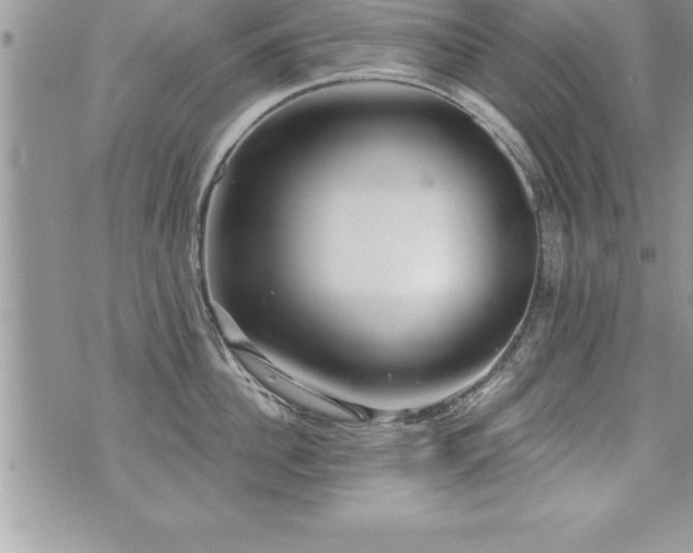 X0000071960956200607071449