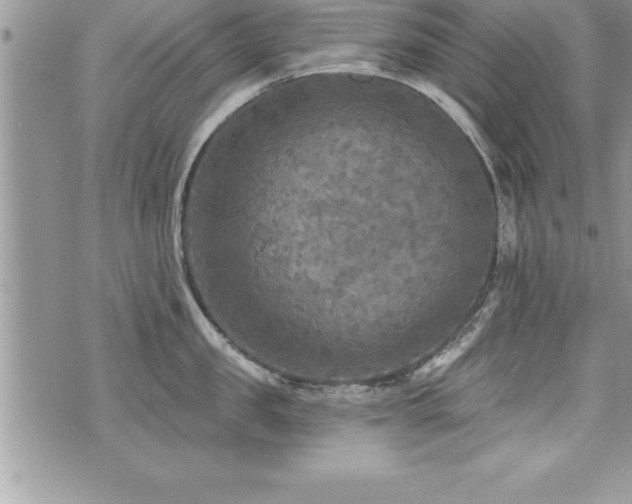 X0000071960957200607071449