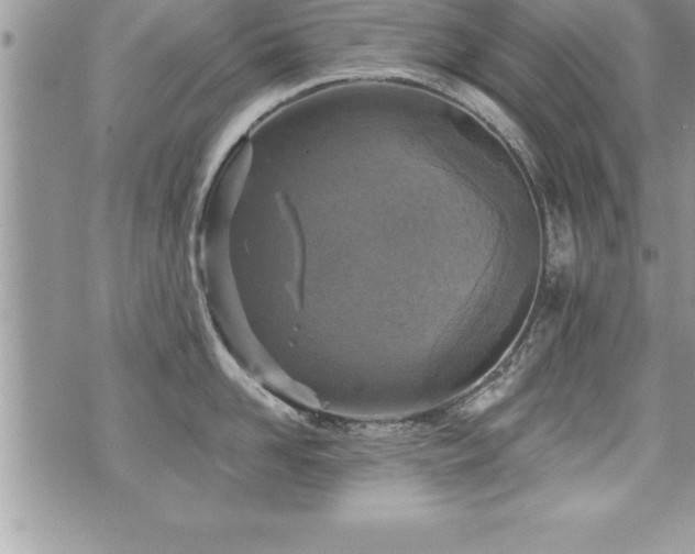 X0000071960958200607071449