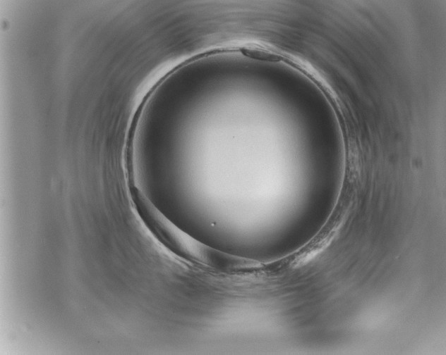 X0000071960959200607071449