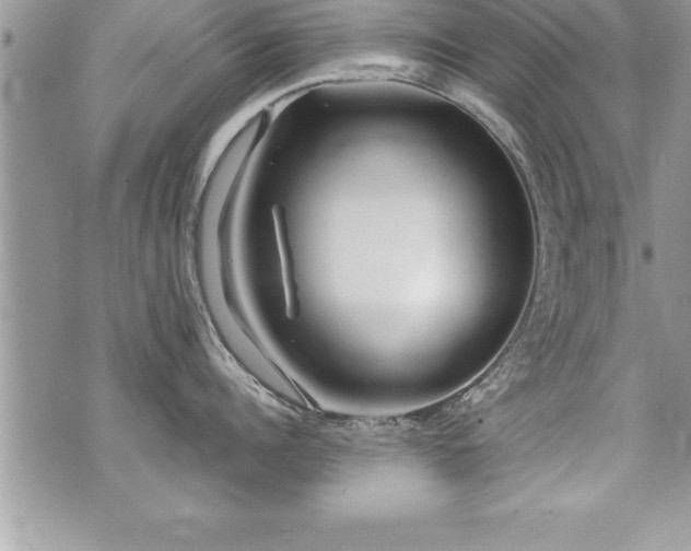 X0000071960960200607071449