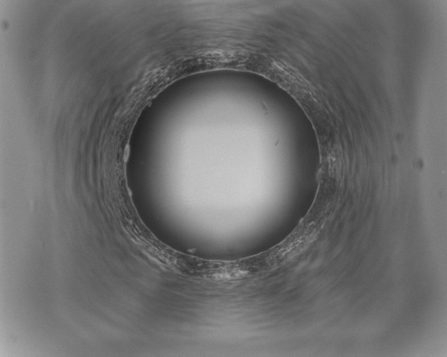 X0000071960961200607071449