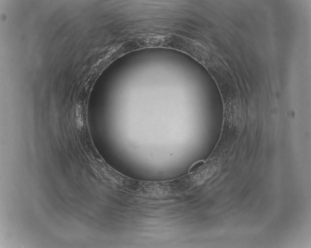 X0000071960962200607071448