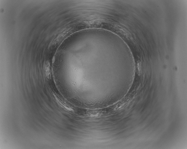 X0000071960963200607071448