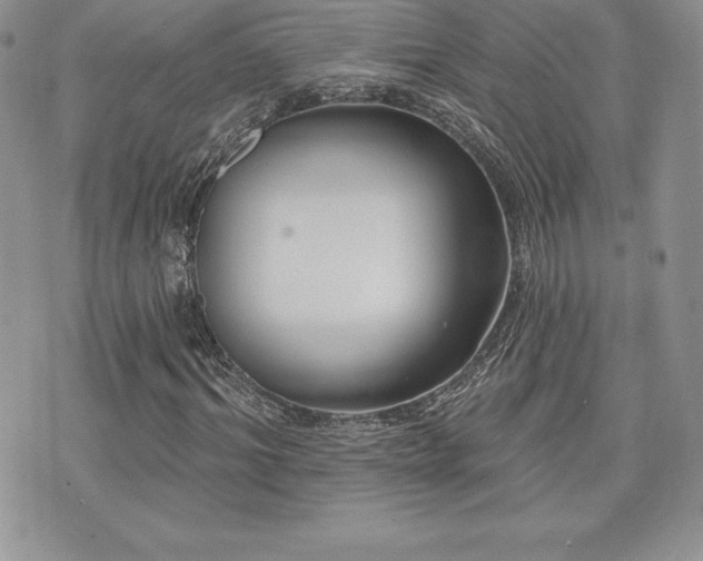 X0000071960964200607071448