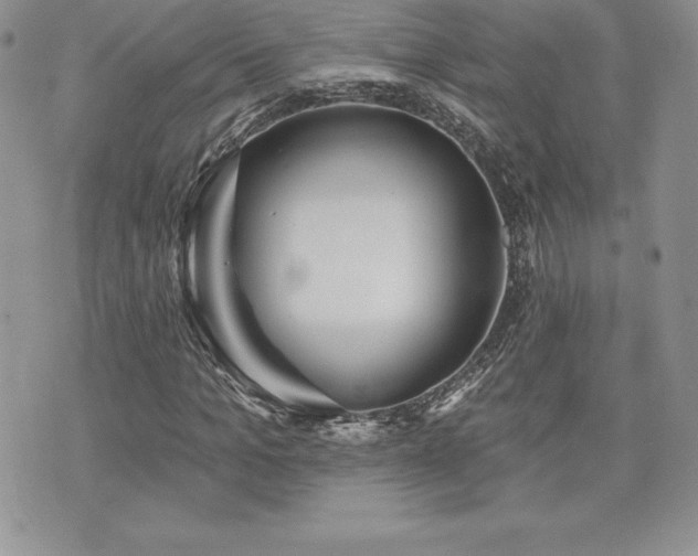 X0000071960965200607071448