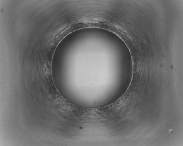 X0000071960966200607071448