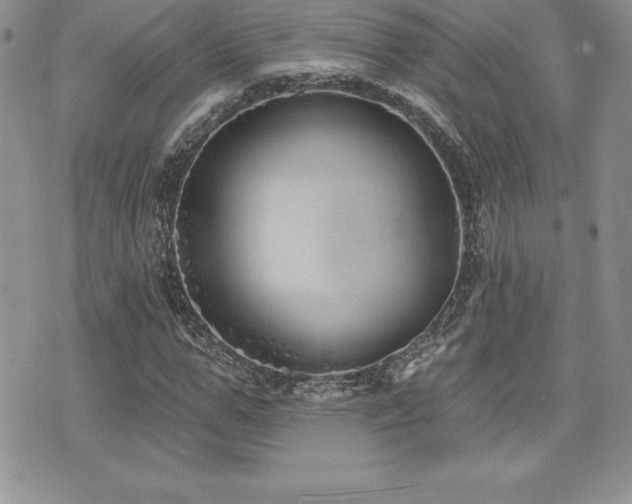 X0000071960967200607071448