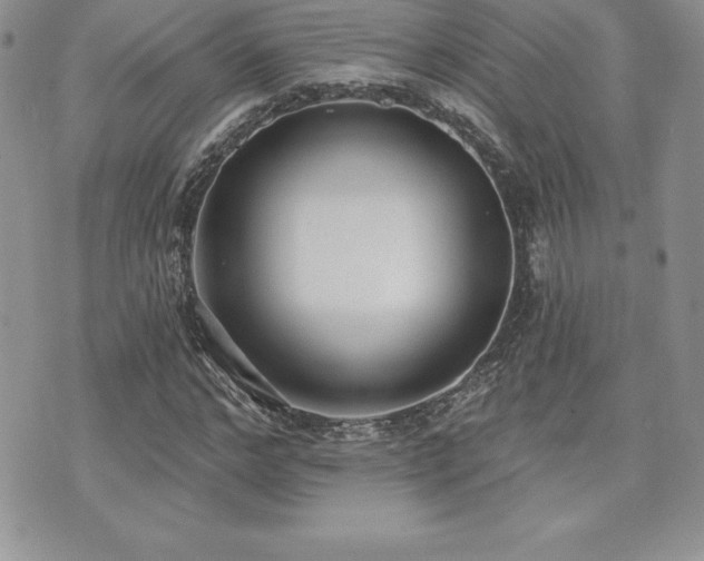 X0000071960968200607071448