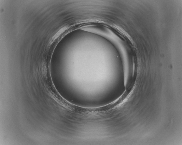 X0000071960969200607071448