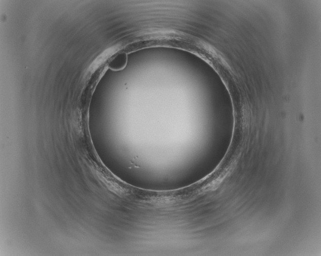 X0000071960970200607071448