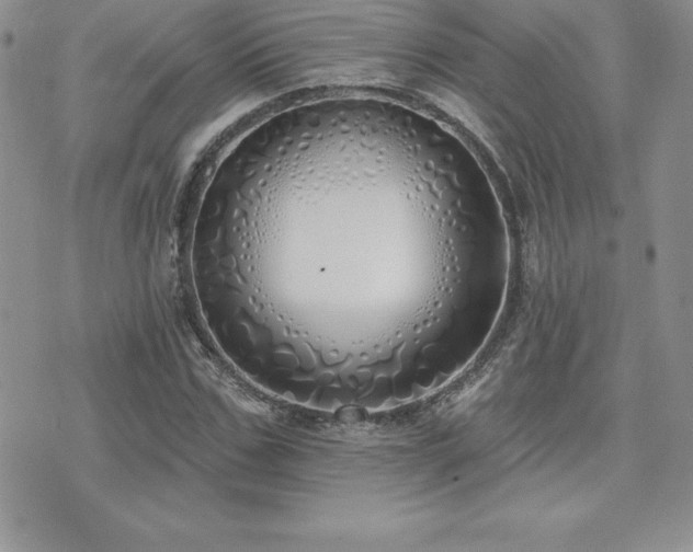 X0000071960971200607071448