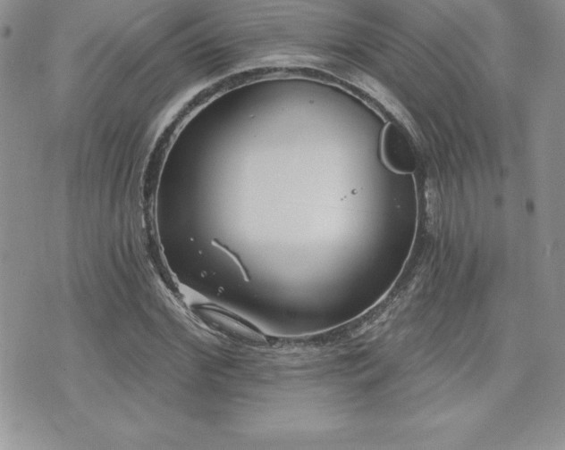 X0000071960972200607071448